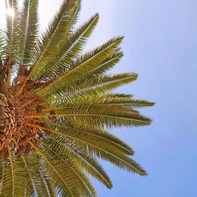 Apartamentos Borda D'Agua Albufeira Dış mekan fotoğraf